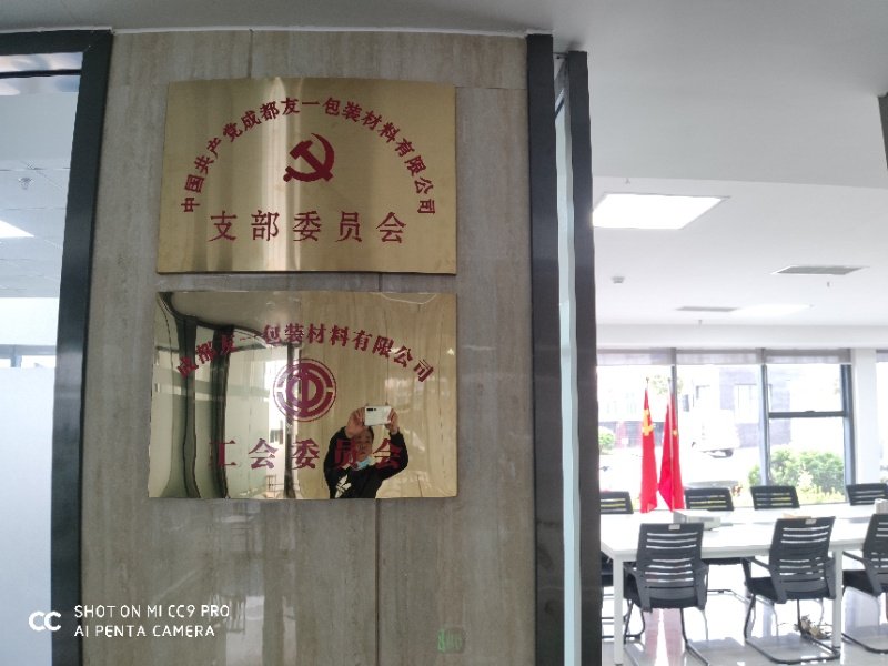 热烈祝贺冰球突破集团成都分公司党支部在2020年3月11日授牌成立，支部书记曹云(行政部经理)